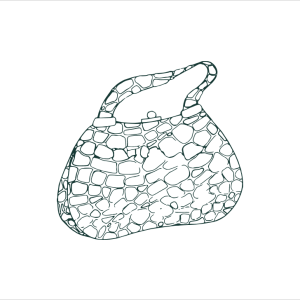 Signature Cleaning Service